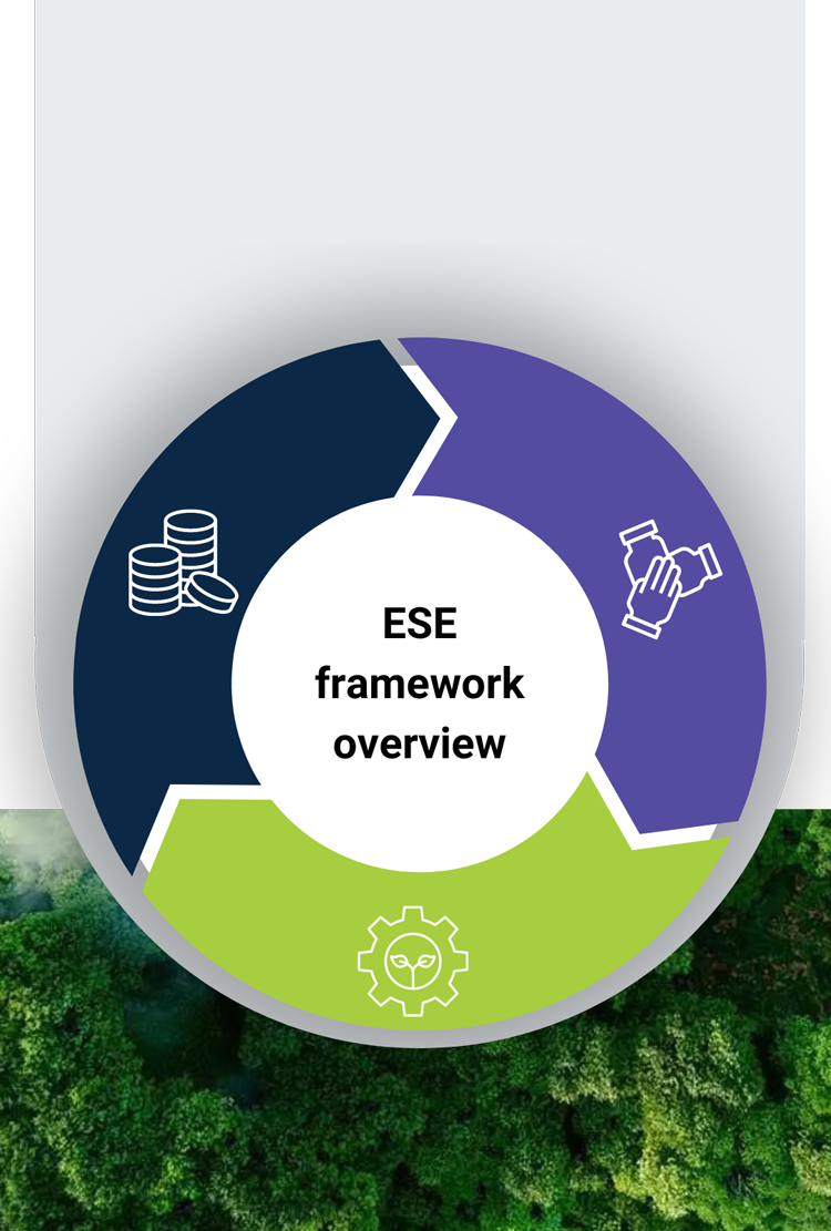 Sustainability - ESE Framework Overview | Transaction Capital