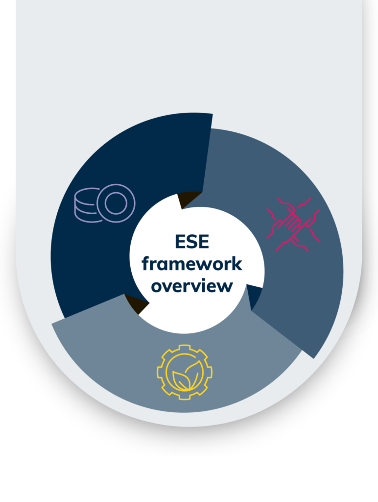 ESE Framework - Sustainability | Transaction Capital